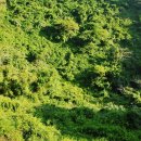 정해 마을회관 이미지