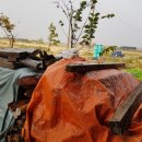 이선배농장 이미지