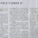 신대초등학교 이미지