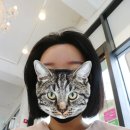헤어스마일 네이버블로그