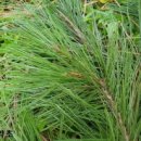 의술농장 이미지