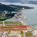 대지의 비상 이미지