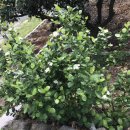 청수1789 이미지