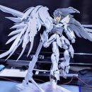 SNOW WING 이미지