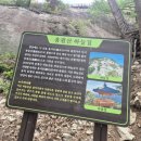 요천생태습지공원 주차장 이미지