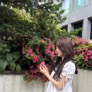 츄