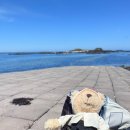 문주란 자생지 | 동쪽 스노클링 포인트 명소 토끼섬 무인도 체험 후기 - 가는법, 간조 만조 물 때, 수심, 시설, 주차장 정보