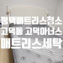 아너스세탁 | 평택매트리스청소 고덕동 고덕아너스 아파트 매트리스세탁 이사청소 진드기청소 벌레퇴치