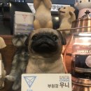 쿠잉헤어 - 달서구 | 쿠잉헤어