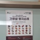 세종명가쌀빵 네이버블로그