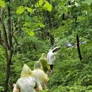 마힐로, '비(雨)의 추억' 이미지