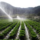 수일농장 이미지