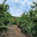 명숙농장 이미지