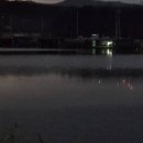 성호낚시터 이미지