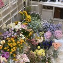 수원역꽃집 :: <b>알마</b>마르소 롯데<b>몰</b>수원점 예쁜 꽃들 집합소 !!