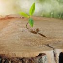 (주) 렘넌트 이미지