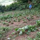 수한농장 이미지