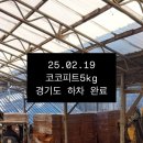 필립주식회사 네이버블로그
