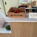 직거래마트 | 🍓구미 딸기 직거래 오늘땄데이 내돈내산 후기!! 설향 대 사이즈 가격, 하우스 방문 구매