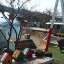 벌말농원 이미지