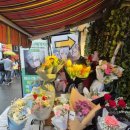 퍼플 노래연습장 이미지