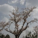 휴대폰 강선생 이미지