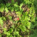 승민농장 이미지