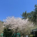 계곡산장 | [부산/만덕] 애견동반 부산계곡식당 메아리산장 솔직후기