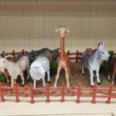 성모정신과의원 이미지