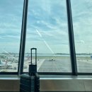 The Heart Travels First 이미지