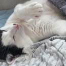 문현동물병원 이미지