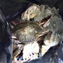 그물집 민박 이미지