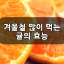 귤의 효능 이미지