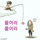 카페생활 6년차에 들어서믄서 이미지