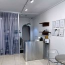 고양이집:고집 이미지