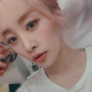 니콜 스포츠경향