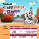 행복하개 이미지