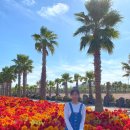제주도 여행일기 DAY 4 | 제주 소품샵 | 디자인에이비 | 서부 농업 기술센터 | 다람쥐식탁 | 가르송...