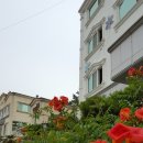 무안비치호텔 이미지