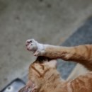 조은비뇨기과의원 이미지