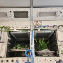 우주펜션 이미지