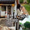 봄날 | 경주 황리단길 숙소 추천 조식 포함 북스테이 봄날 가성비 숙소 후기