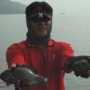 감생이민박 이미지