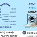 뽀송이 운동화 세탁 이미지