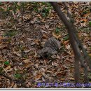 흥덕1로 48번길 이미지