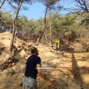 삼봉농원 이미지