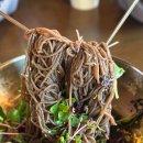 오리엔탈모텔 | 울산 삼산동 맛집 갓성비 오리엔탈 무거면옥 막국수 우동 로컬 찐맛