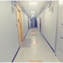 안심행정사사무소 이미지