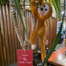 그린 브라우니 | 논산베이커리카페 '그린브라우니 강경점'