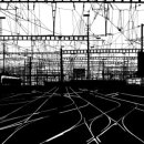 복지행정사 이미지